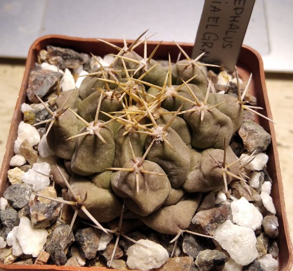 IMG_20210430_200940_2