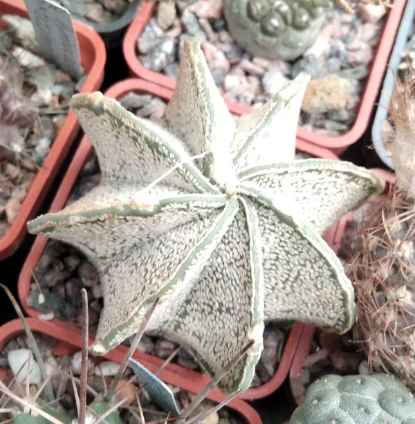 IMG_20211027_103529_1 (2)