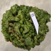 118 Euphorbia horrida f. monstruosa