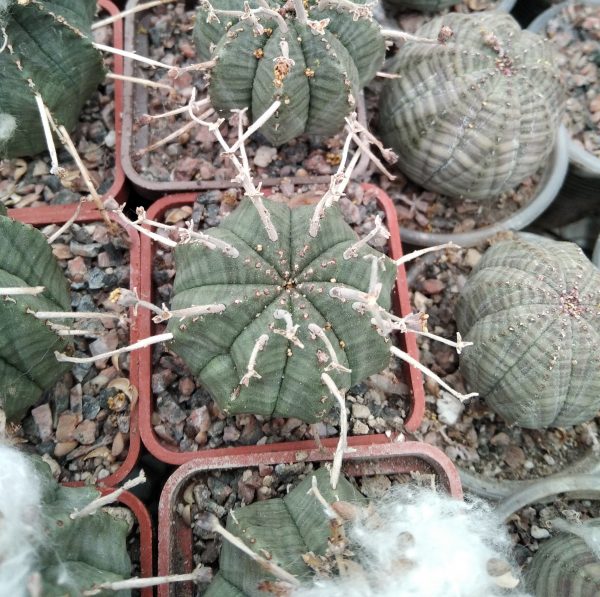 IMG_20230118_105142_1 (2)