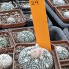 IMG_20230430_230401_656