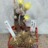 IMG-6d49de2906899079fc7289d555bead07-V