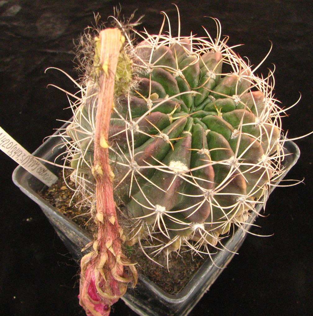 photo_2025-06-19_17-22-29 photo_2025-06-19_17-22-29