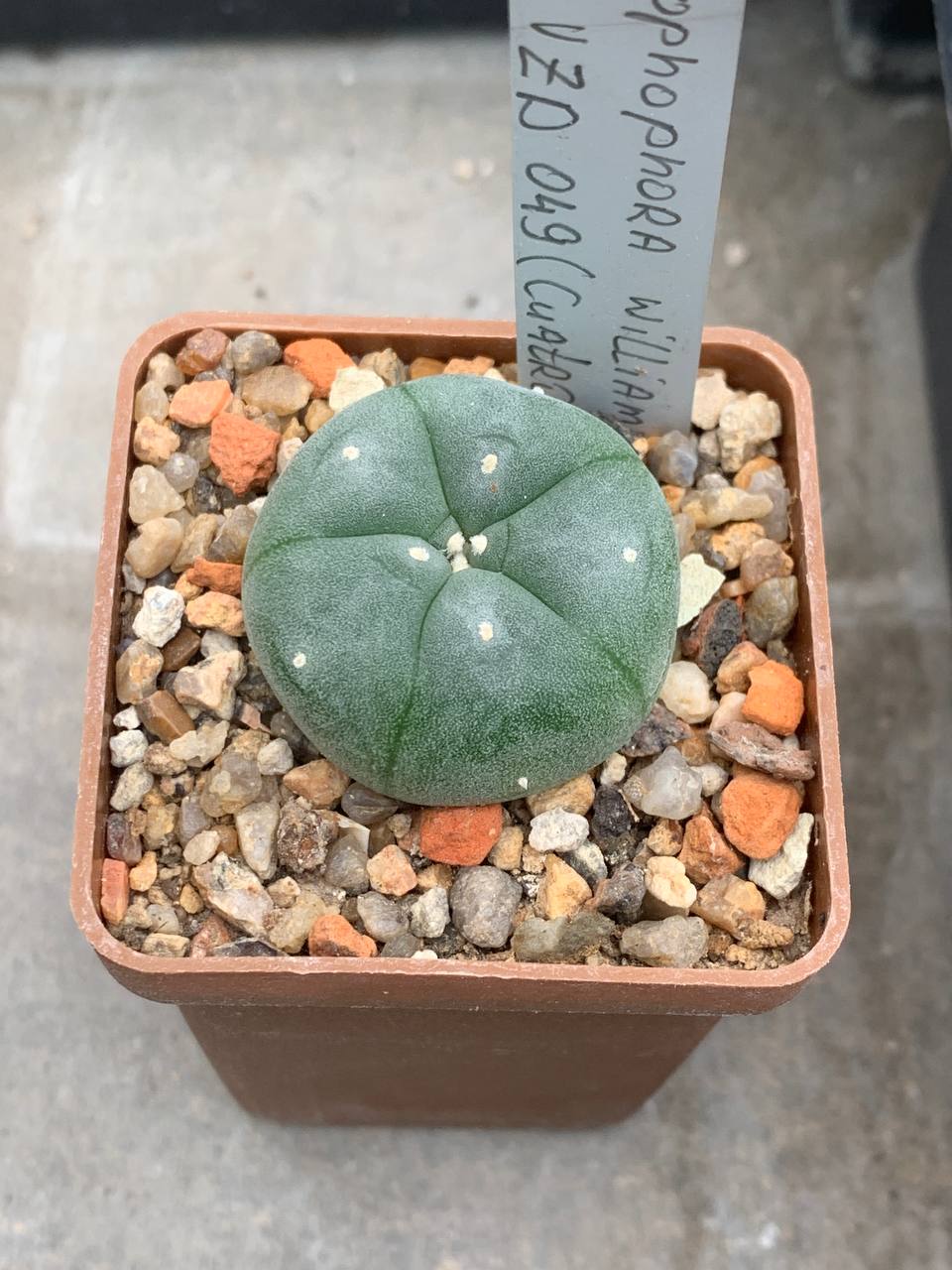 photo_65_2025-07-01_15-32-18 photo_65_2025-07-01_15-32-18