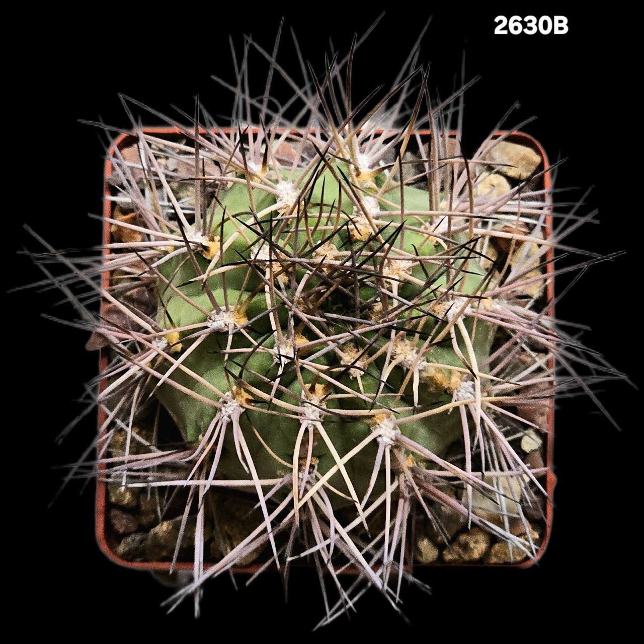 2630-1