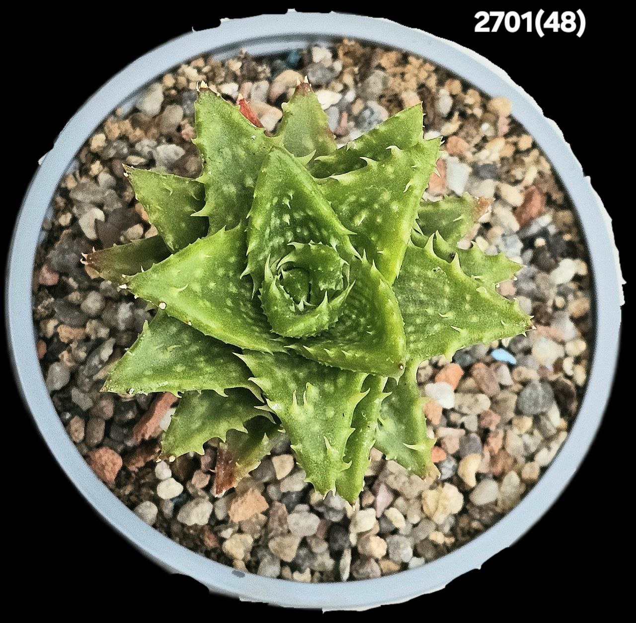 2701-2