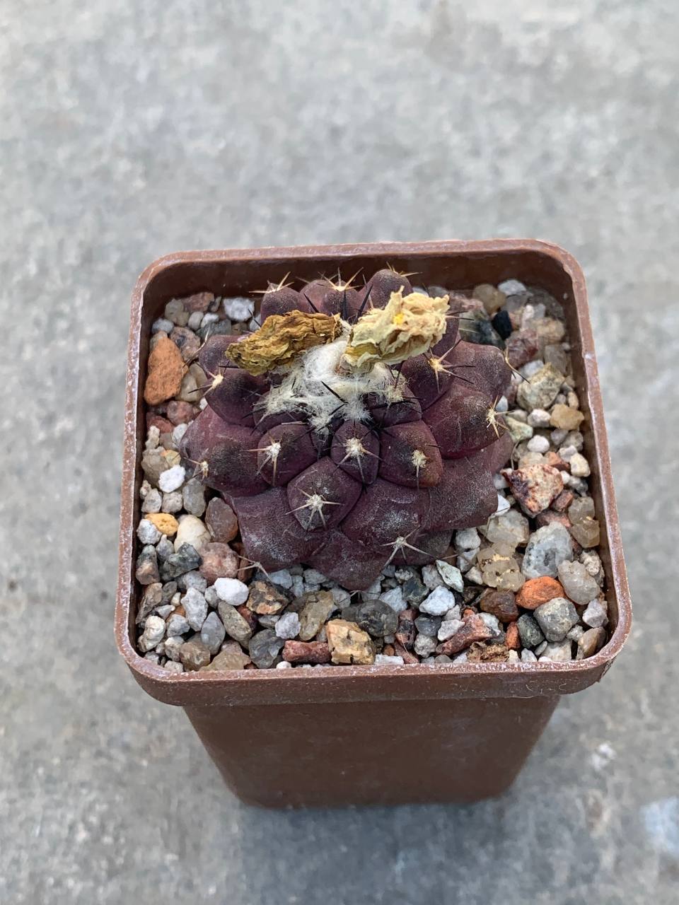 photo_23_2025-08-06_17-00-39