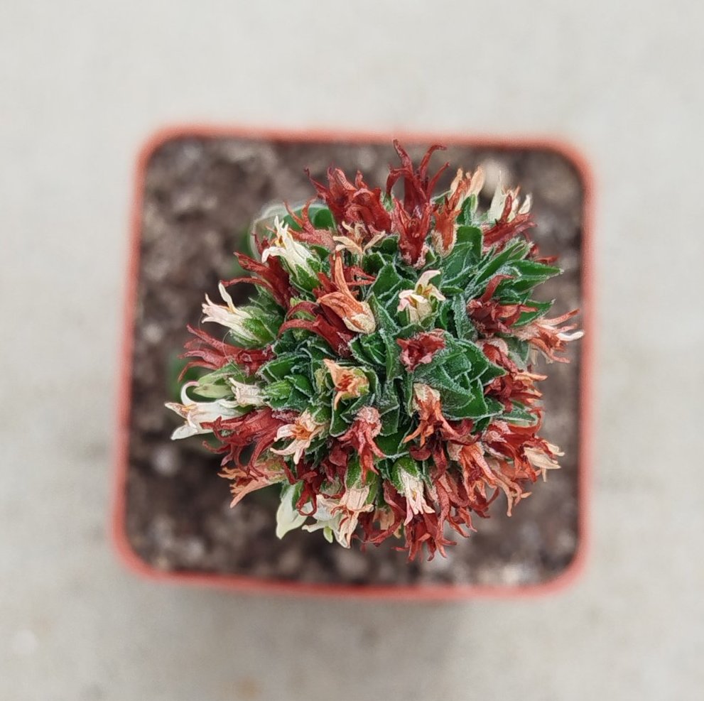 0-02-05-9ac94e0dc9170449dd174857974e1453caf95524d7f504e94ce00f7a544f16f8_bcacbb81780b5179