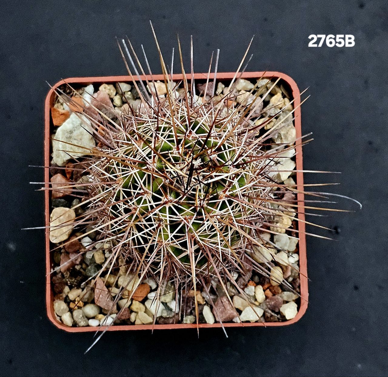 2765-1