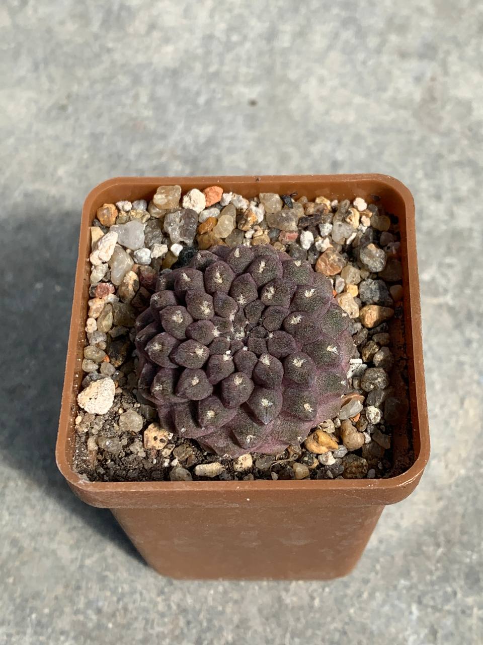 photo_1_2025-09-03_14-21-04 photo_1_2025-09-03_14-21-04