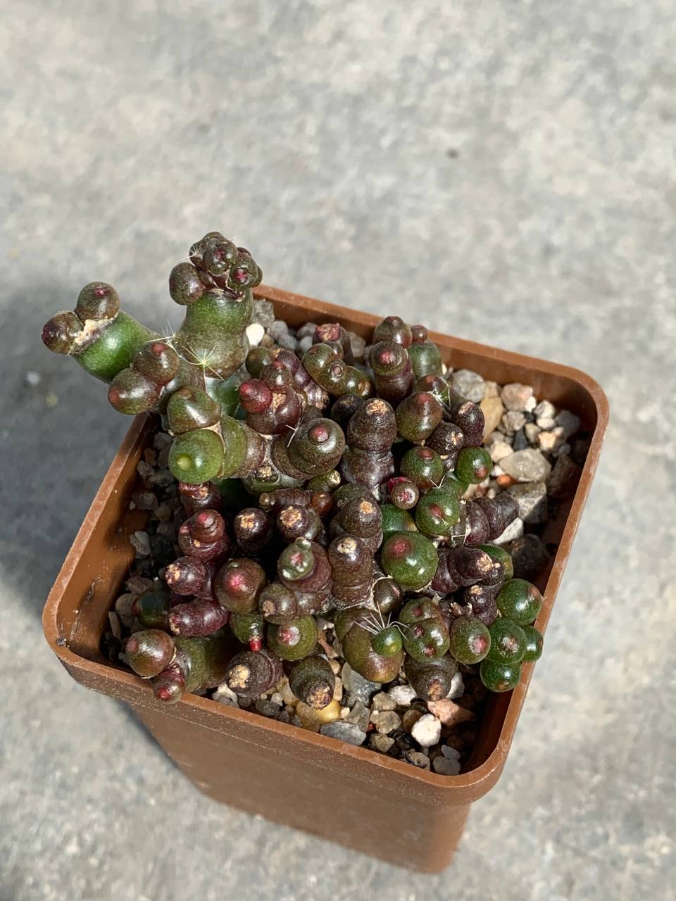 photo_4_2025-09-03_14-21-04 photo_4_2025-09-03_14-21-04