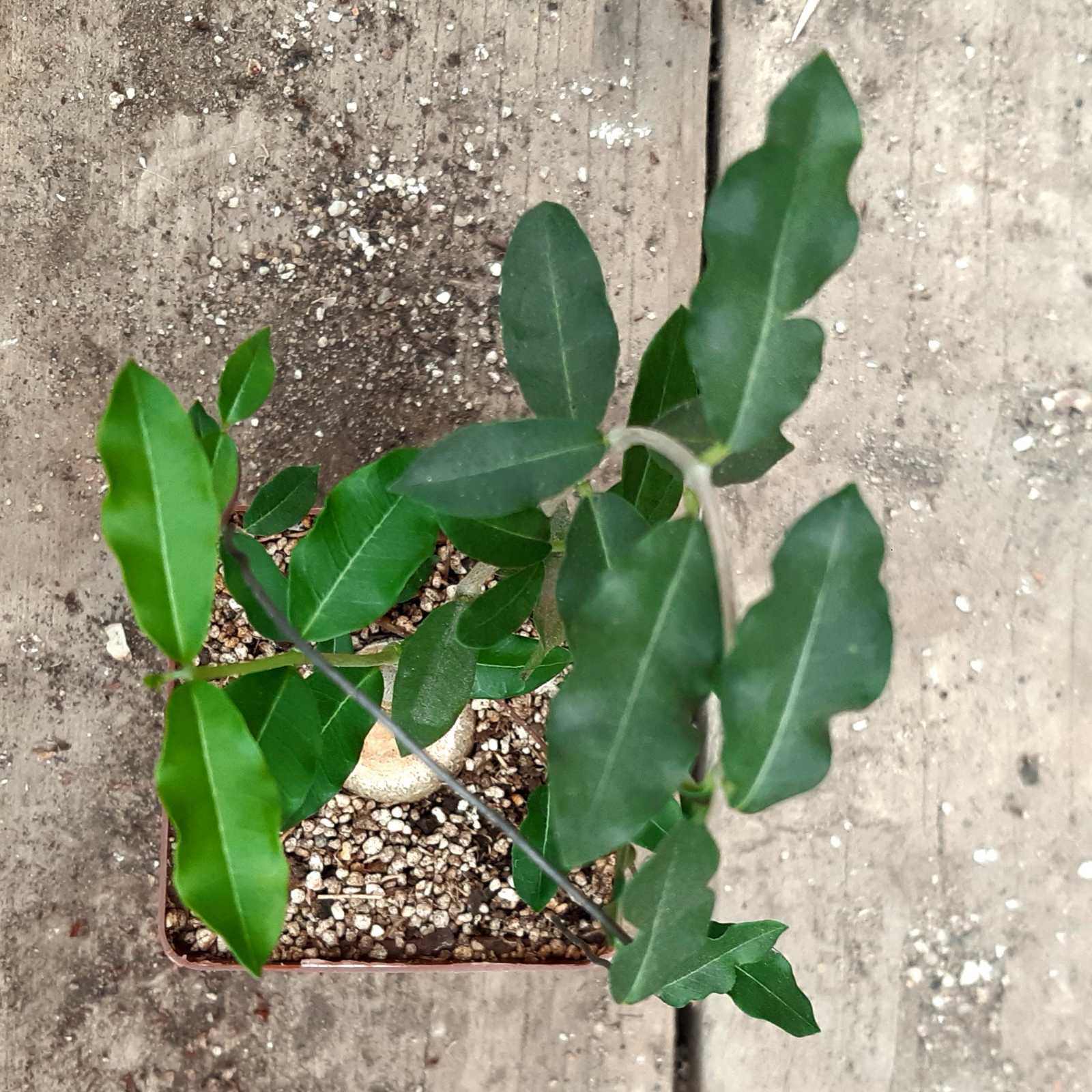 0-02-05-3b8d90f4aa36f9276321993580fa8fb244d24b7e424a422d343b63c3d4dc45d4_dfbbc5807e1c953a