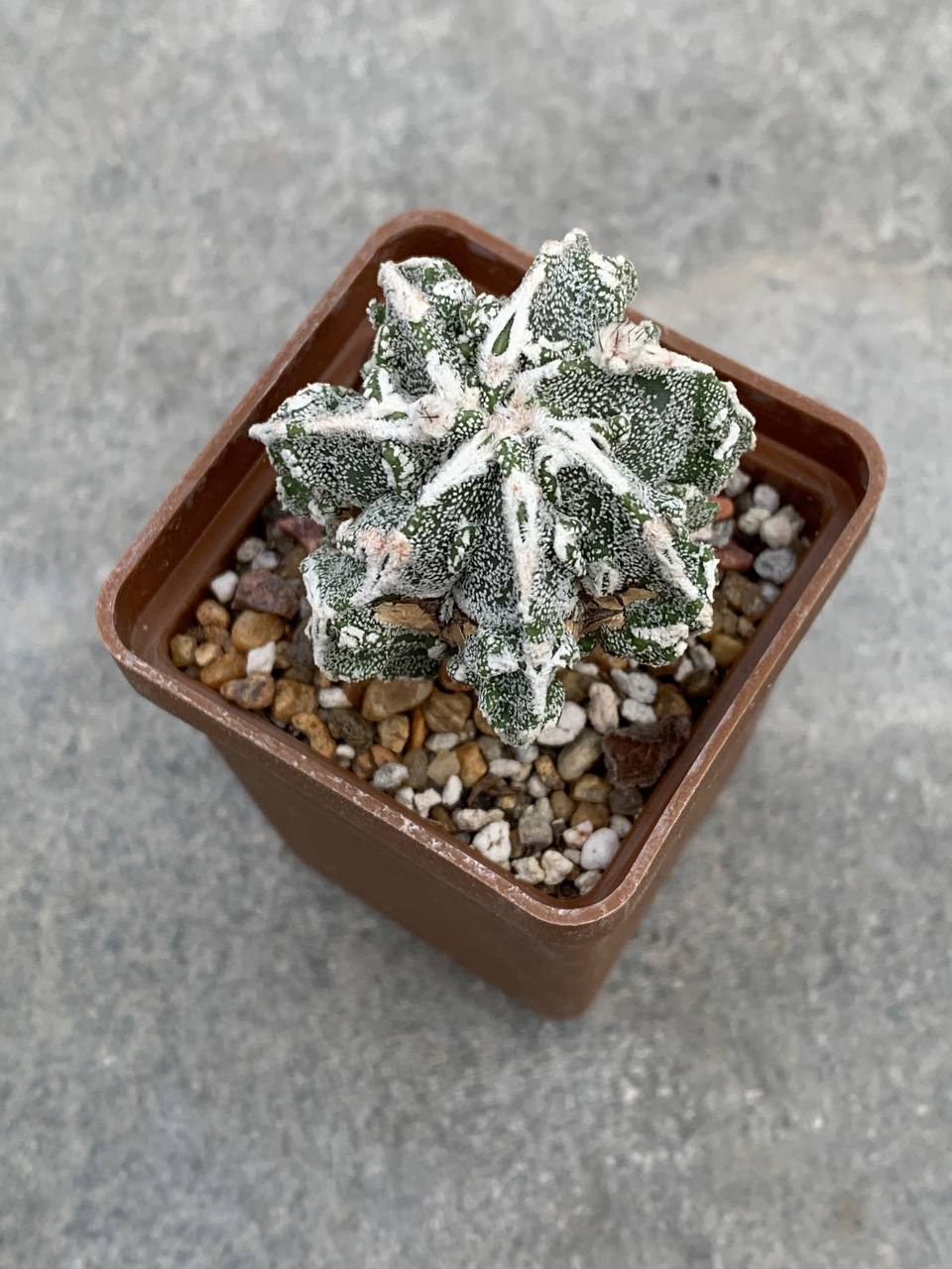 photo_2_2025-10-29_16-47-25