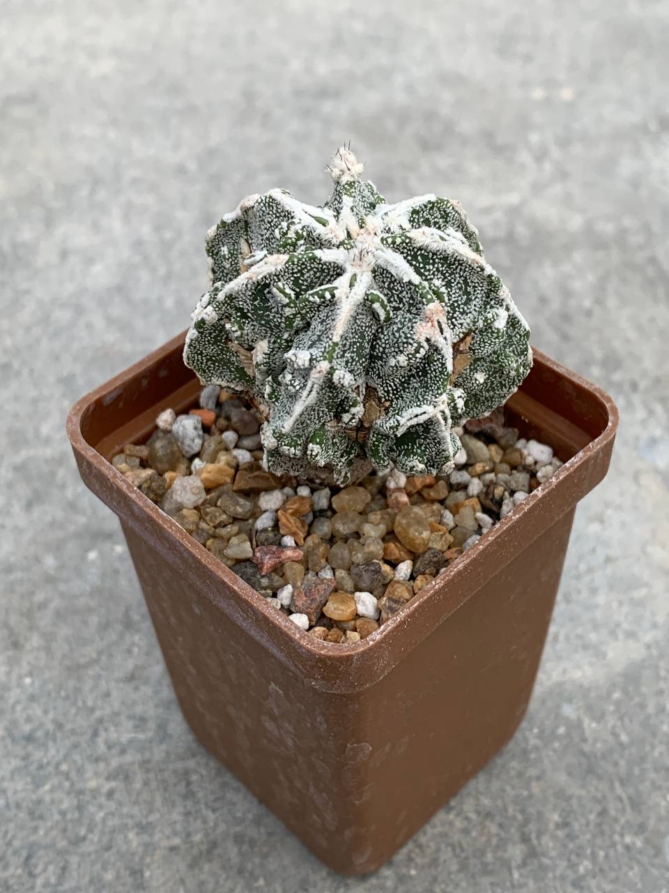 photo_3_2025-10-29_16-47-25