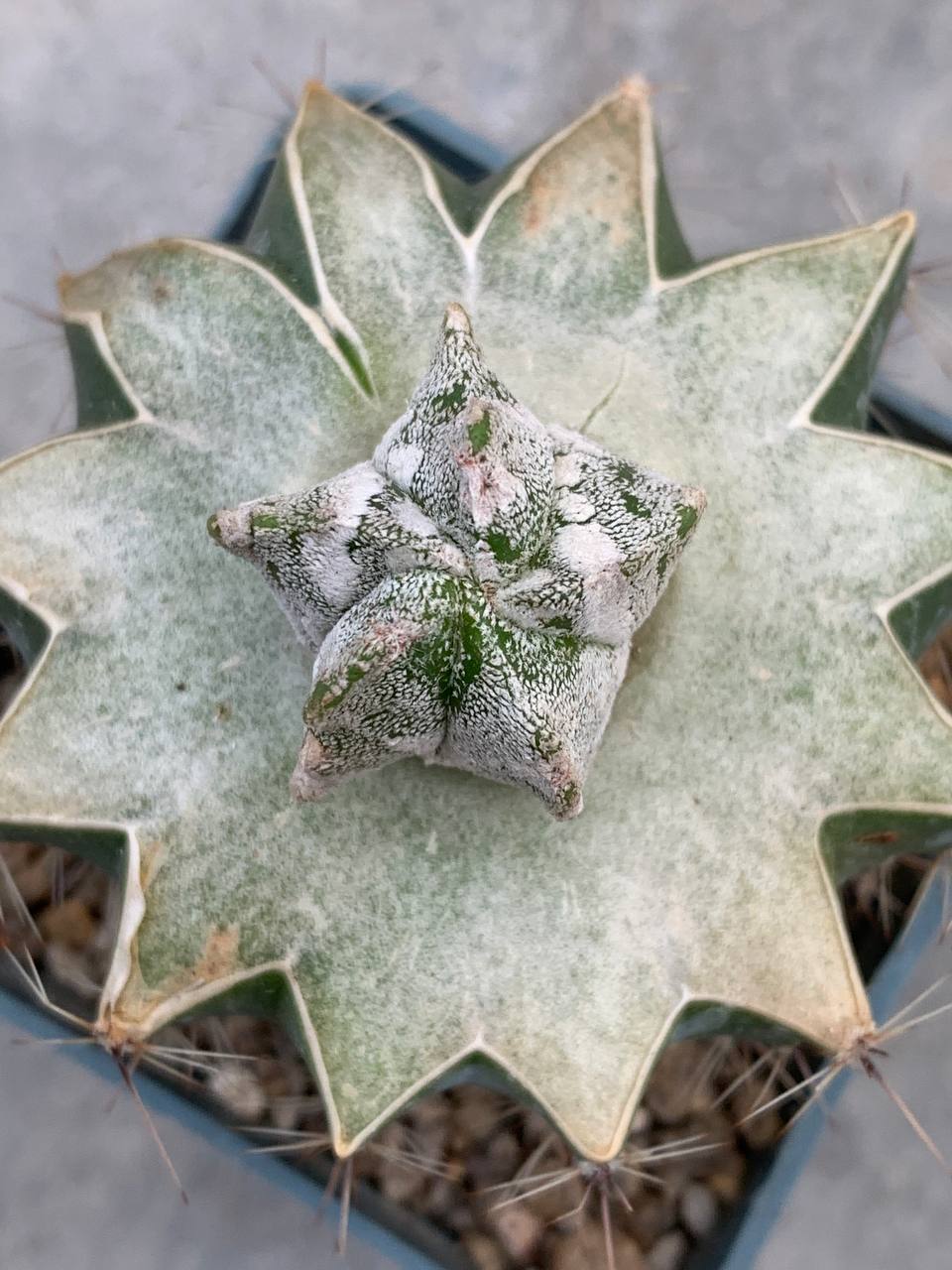 photo_43_2025-10-29_16-47-25