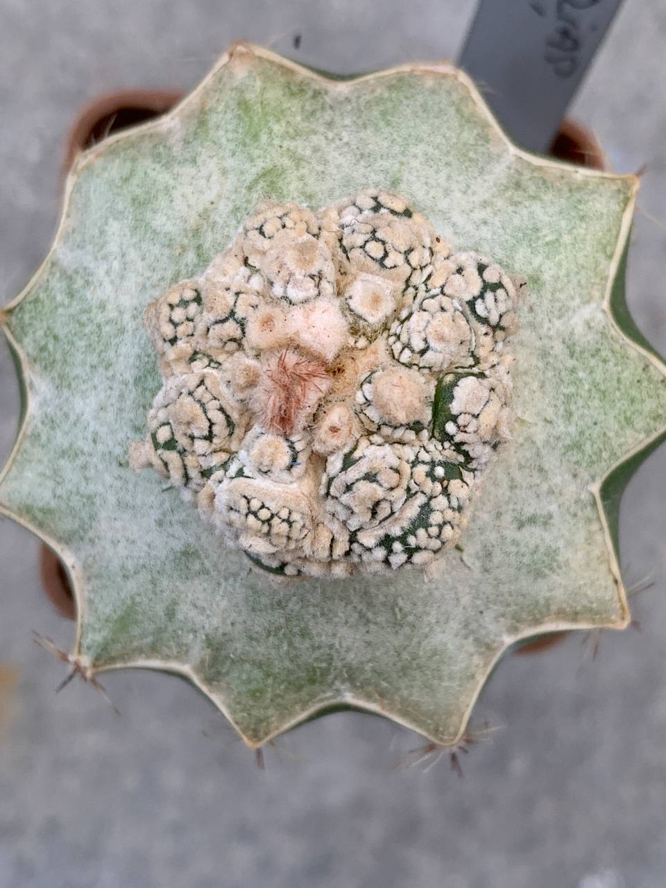 photo_45_2025-10-29_16-47-25 photo_45_2025-10-29_16-47-25