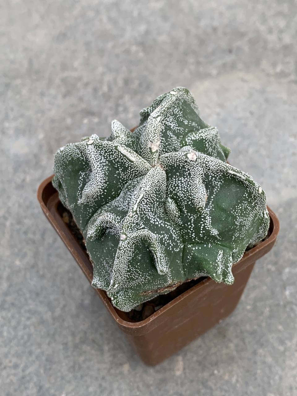 photo_6_2025-10-29_16-47-25 photo_6_2025-10-29_16-47-25