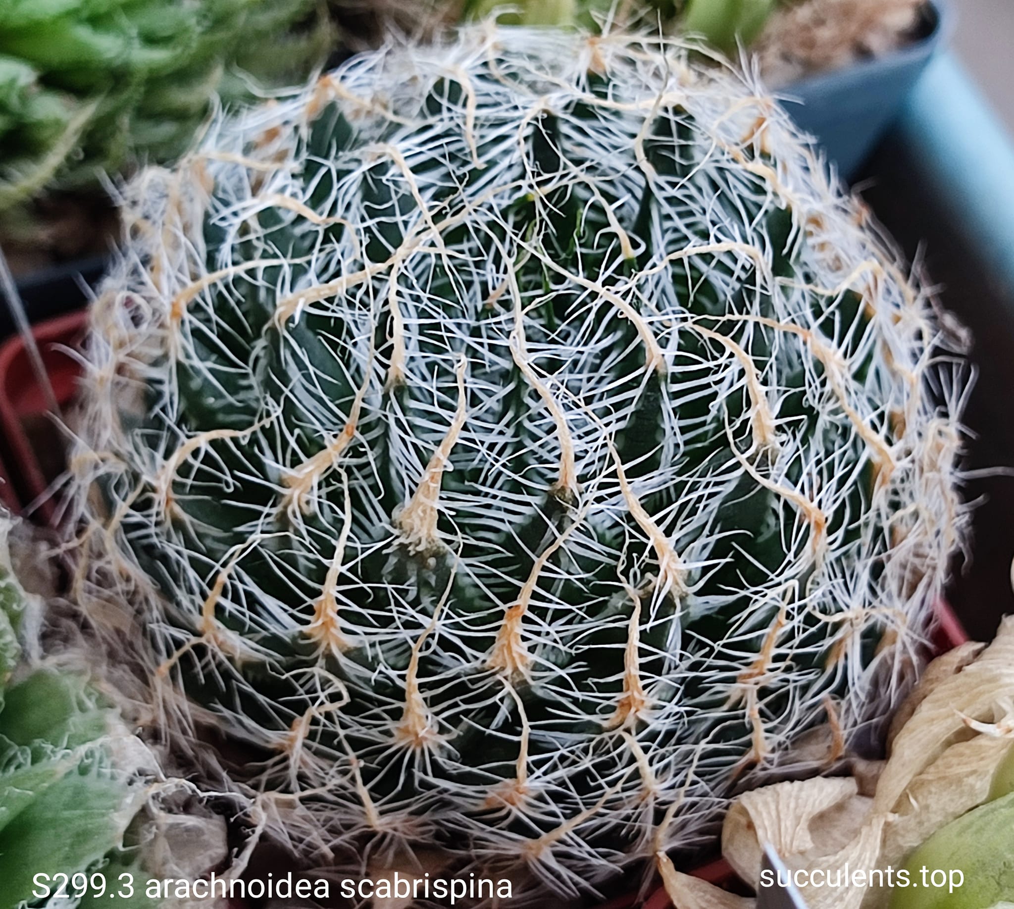 586165136_3368472236624647_6443719266118315890_n 586165136_3368472236624647_6443719266118315890_n