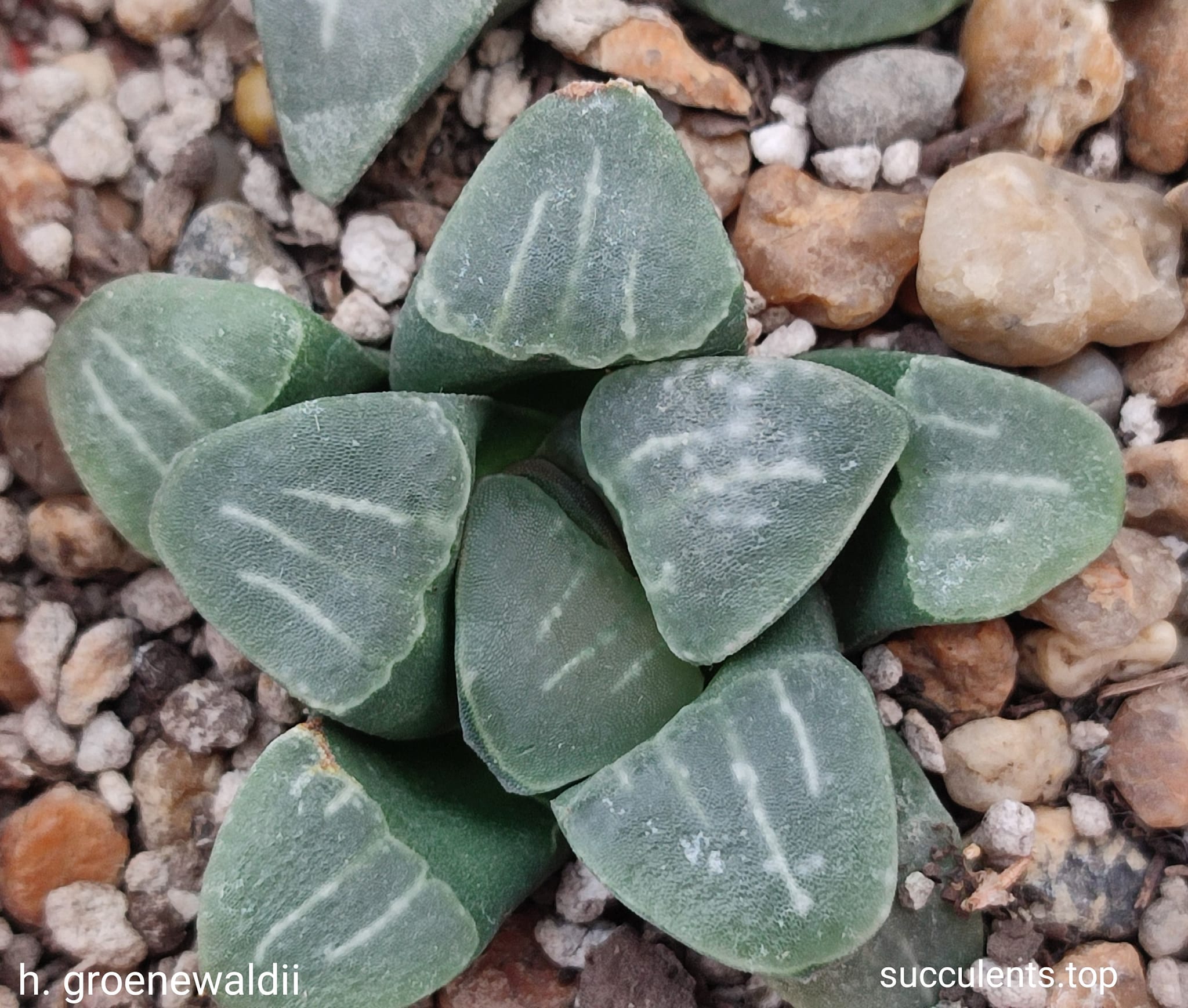 586895849_3368424866629384_7921544196165157671_n 586895849_3368424866629384_7921544196165157671_n