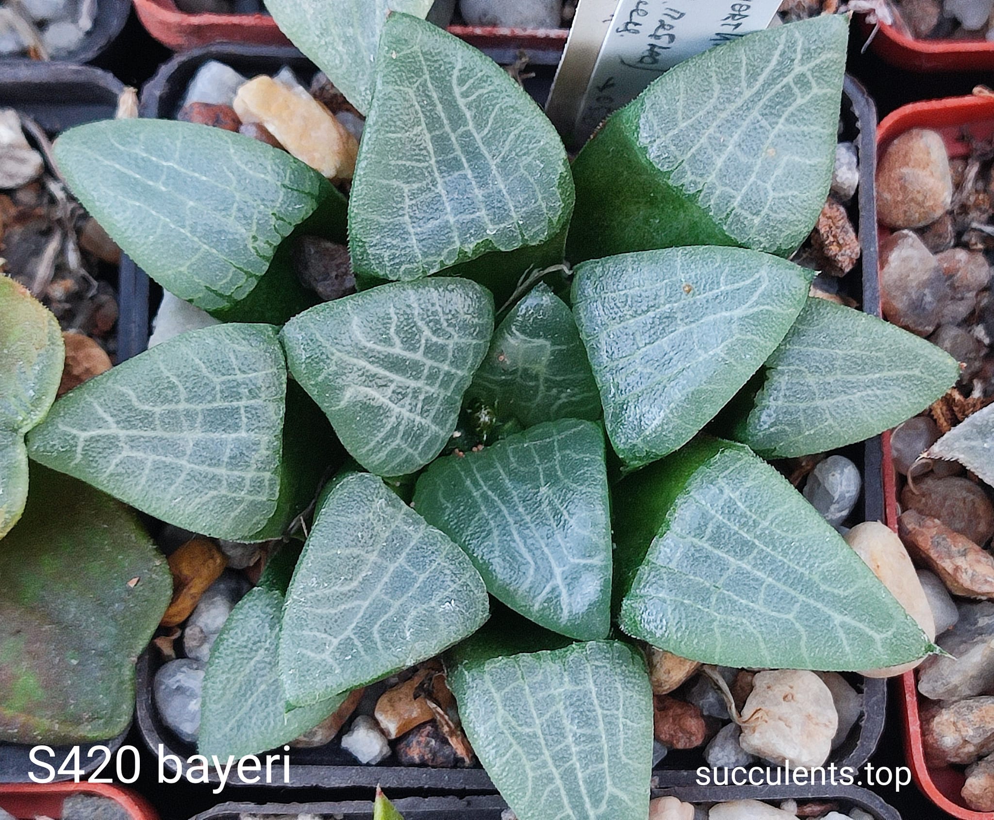 587051695_3368494349955769_6502167706445432123_n 587051695_3368494349955769_6502167706445432123_n