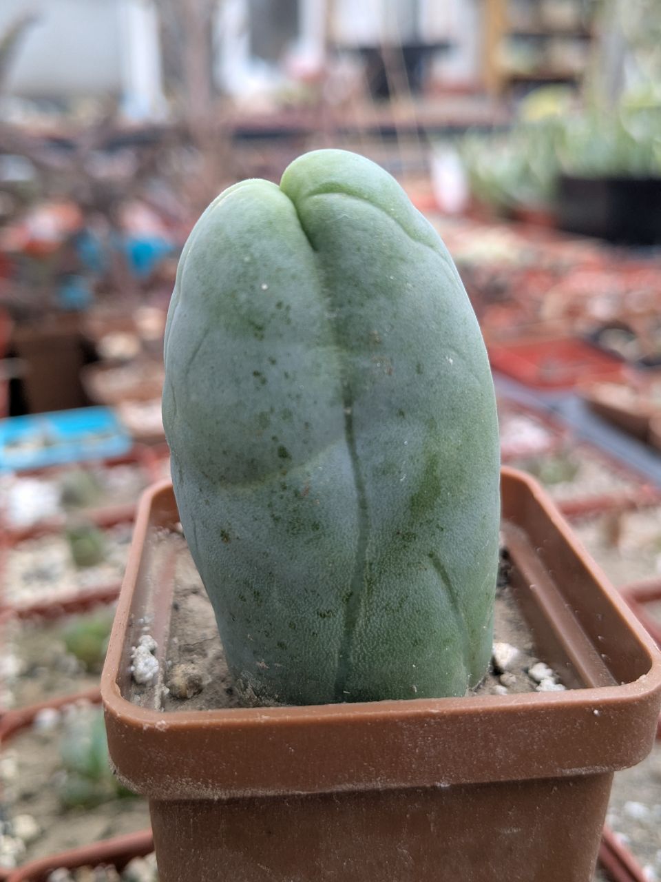 IMG_20251106_171030_480