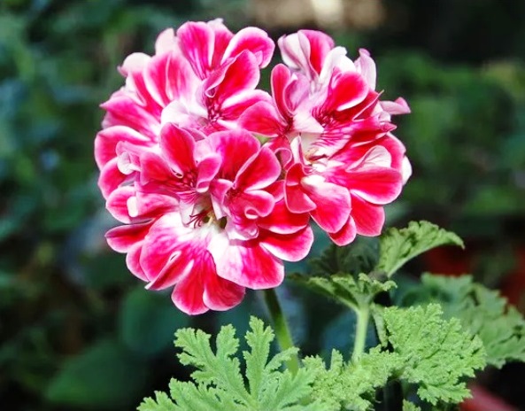 fa28a07f54f3b6410fd087297a1e9c67