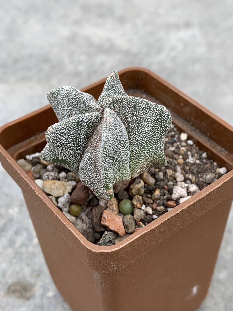 photo_26_2025-11-26_13-48-11