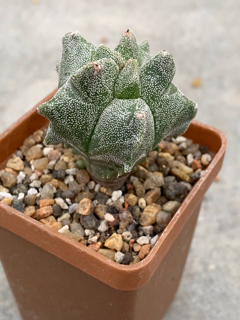 photo_28_2025-11-12_16-22-40 photo_28_2025-11-12_16-22-40