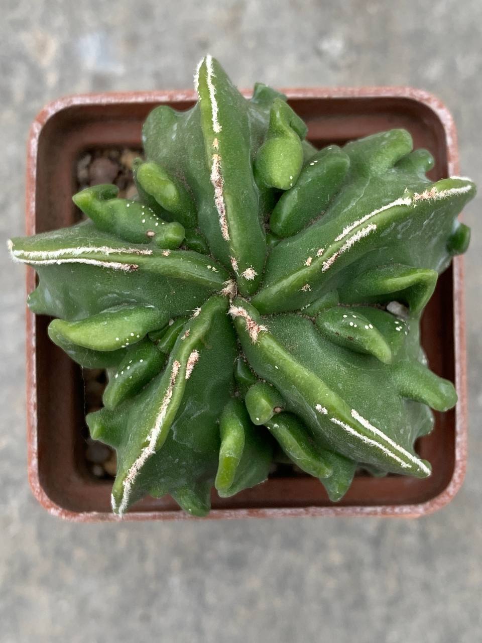 photo_31_2025-11-26_13-48-11