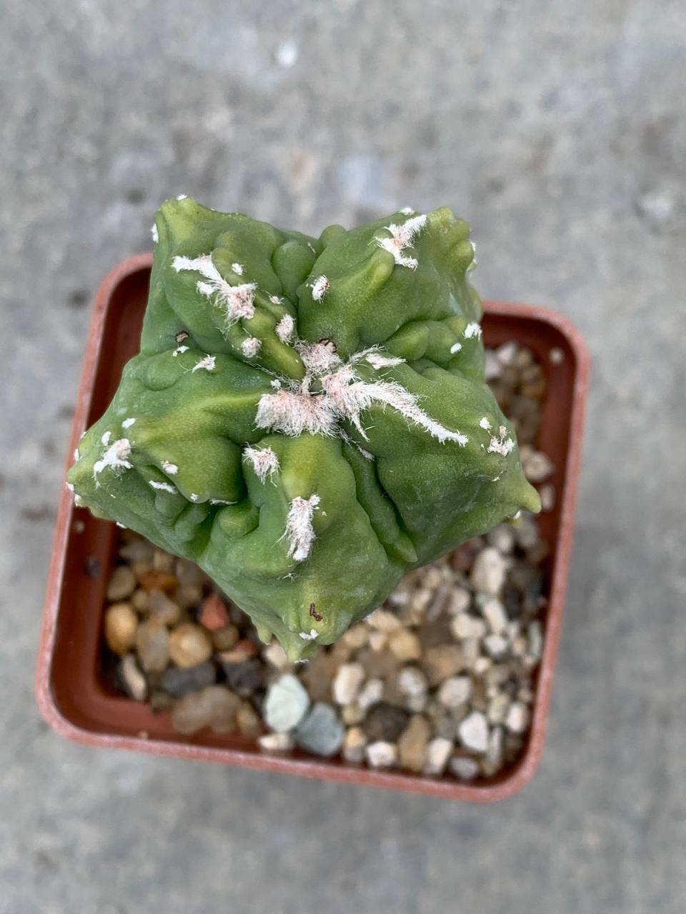 photo_34_2025-11-26_13-48-11