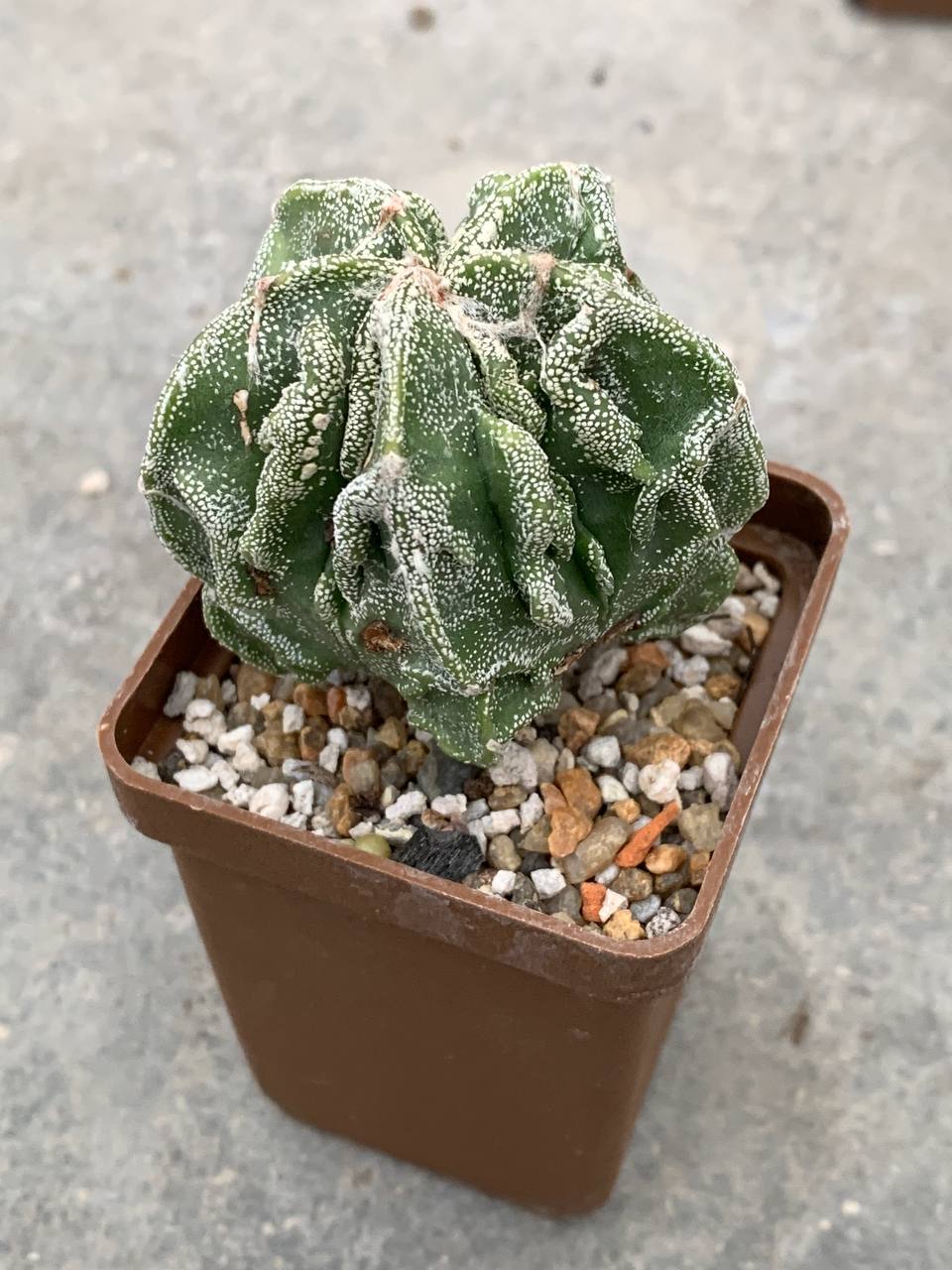 photo_35_2025-11-05_16-36-06 photo_35_2025-11-05_16-36-06