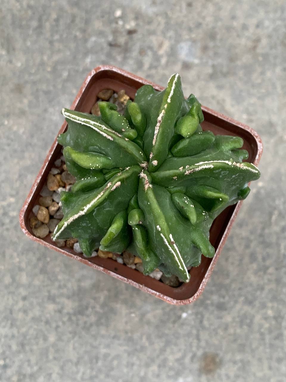 photo_38_2025-11-05_16-36-06 photo_38_2025-11-05_16-36-06