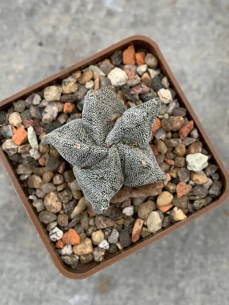 photo_42_2025-11-05_16-36-06 photo_42_2025-11-05_16-36-06