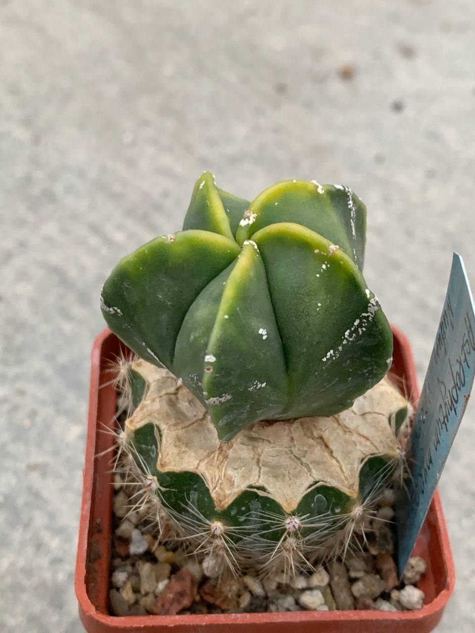 photo_42_2025-11-12_16-22-40 photo_42_2025-11-12_16-22-40