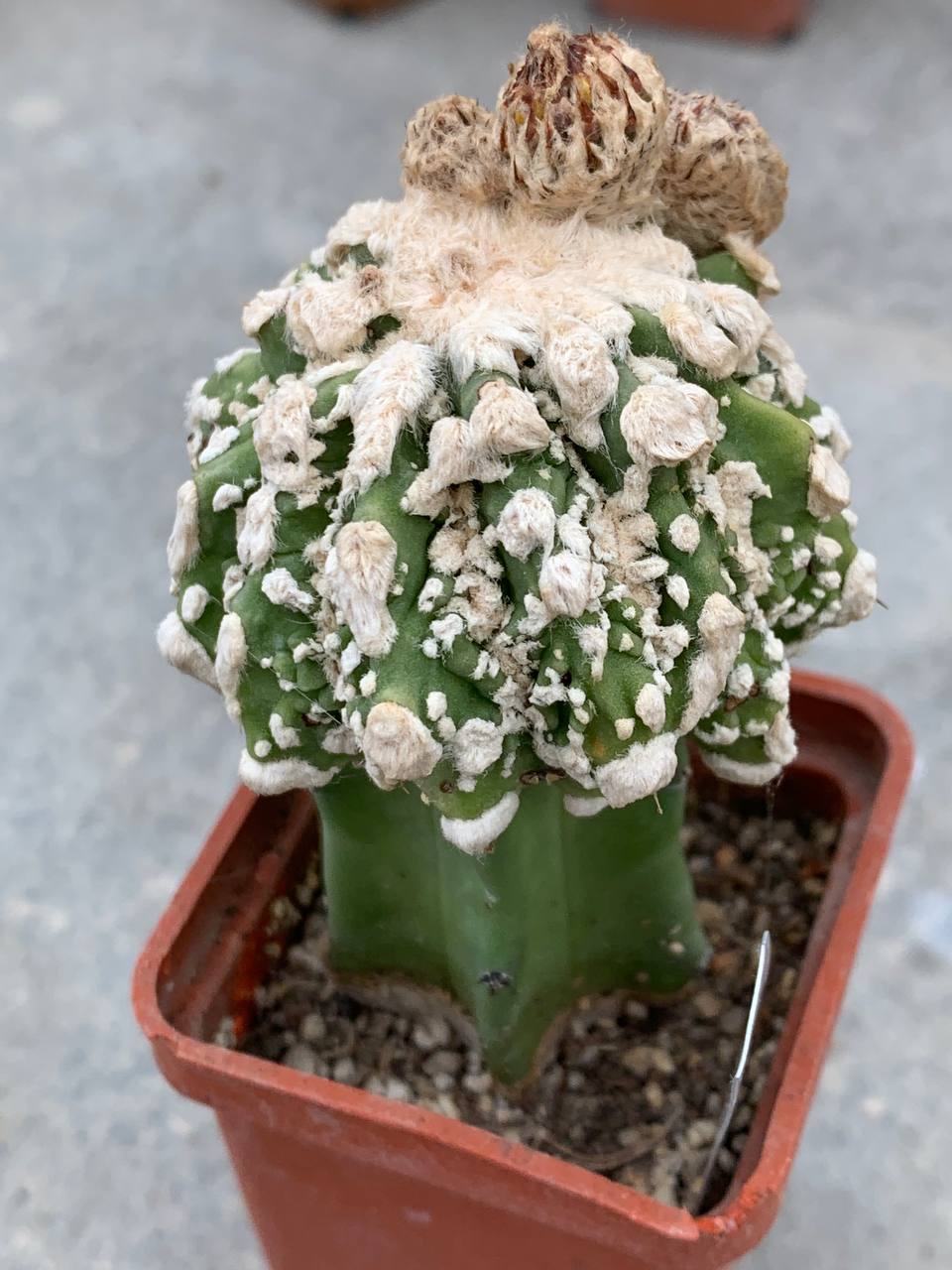 photo_45_2025-11-26_13-48-11