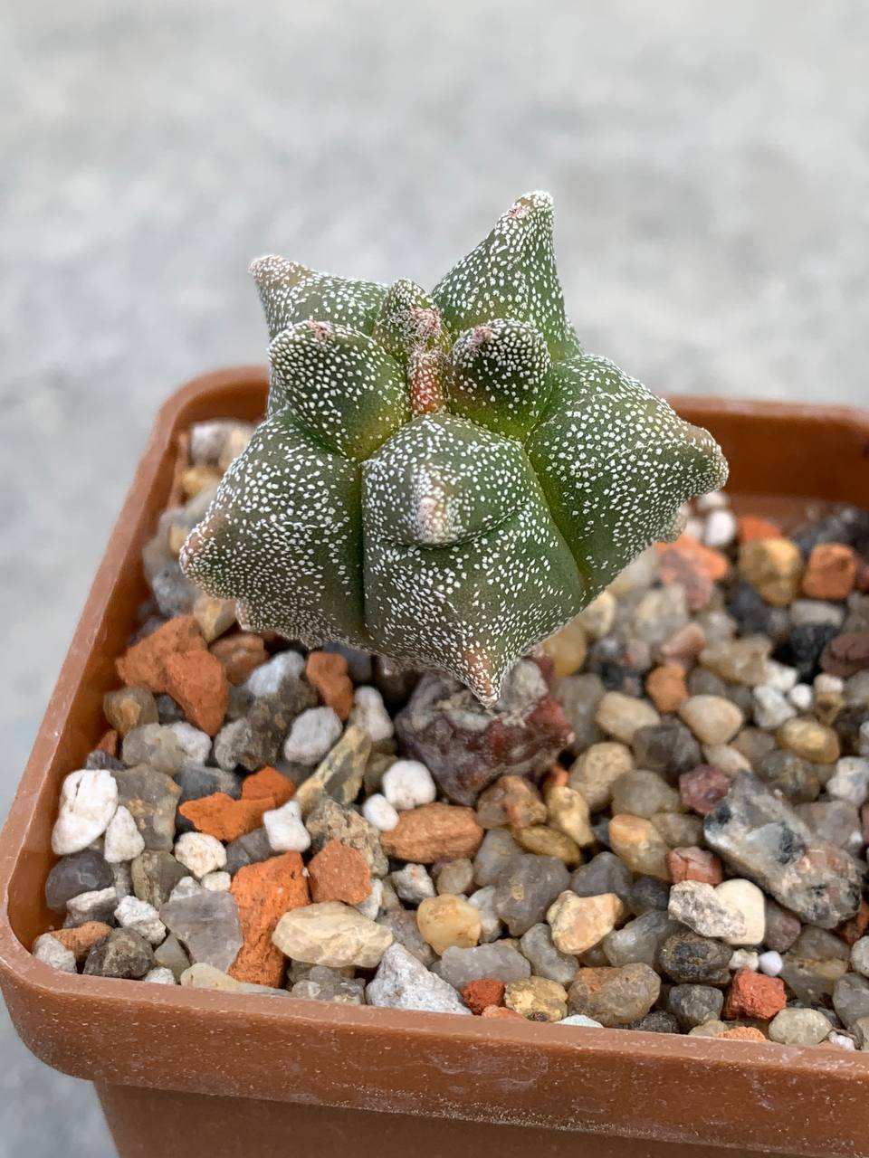 photo_49_2025-11-26_13-48-11 photo_49_2025-11-26_13-48-11