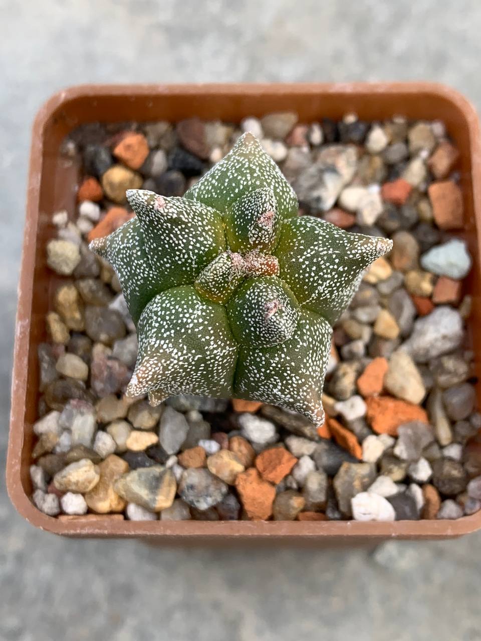 photo_50_2025-11-26_13-48-11 photo_50_2025-11-26_13-48-11