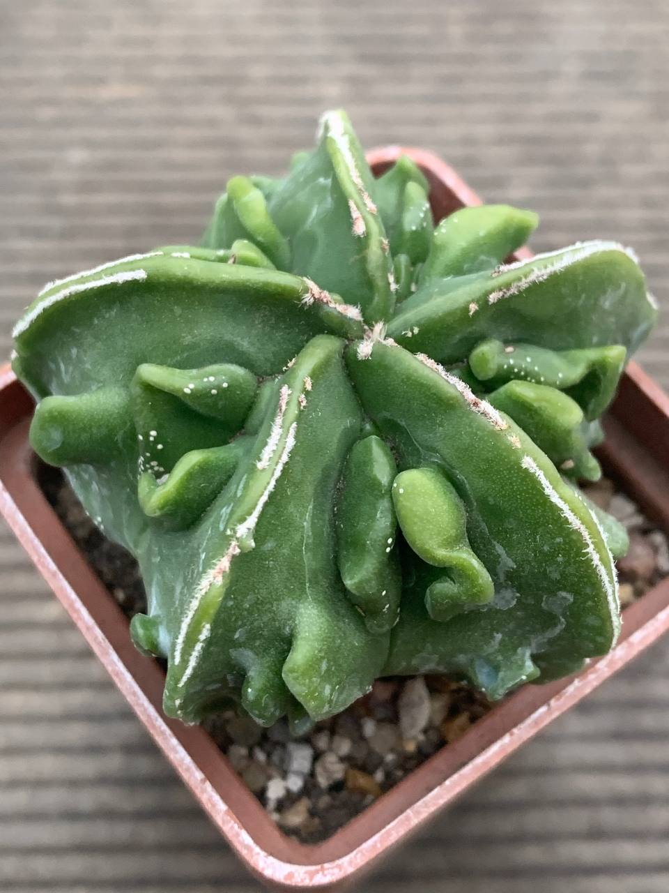 photo_14_2025-12-17_17-03-28