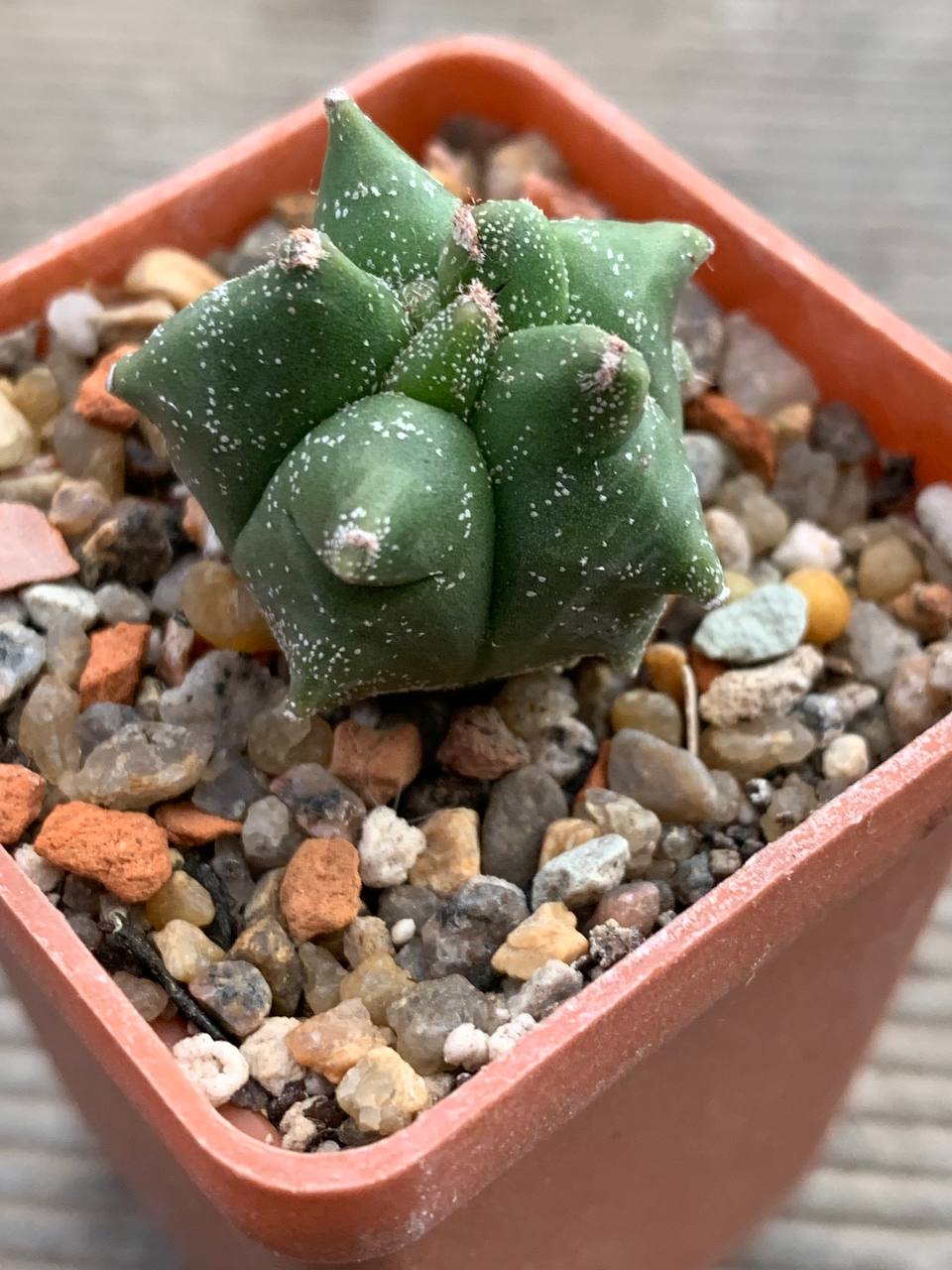 photo_21_2025-12-10_16-28-37