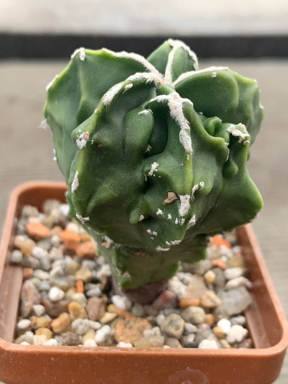 photo_21_2025-12-17_17-03-28