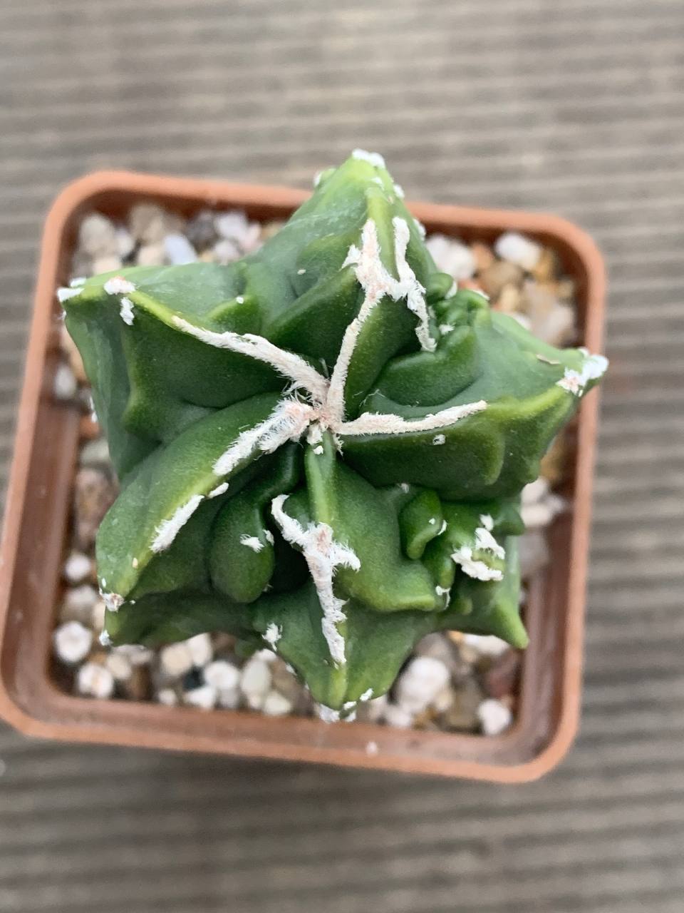 photo_22_2025-12-17_17-03-28