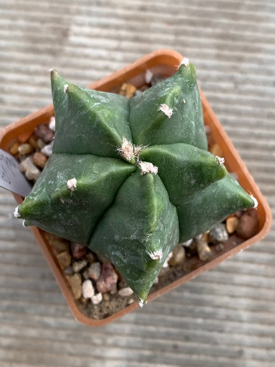 photo_25_2025-12-10_16-28-37 photo_25_2025-12-10_16-28-37