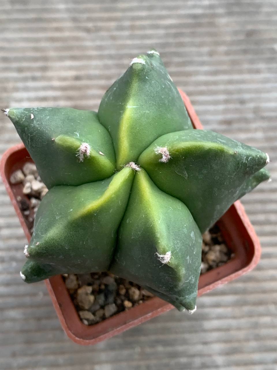 photo_28_2025-12-10_16-28-37