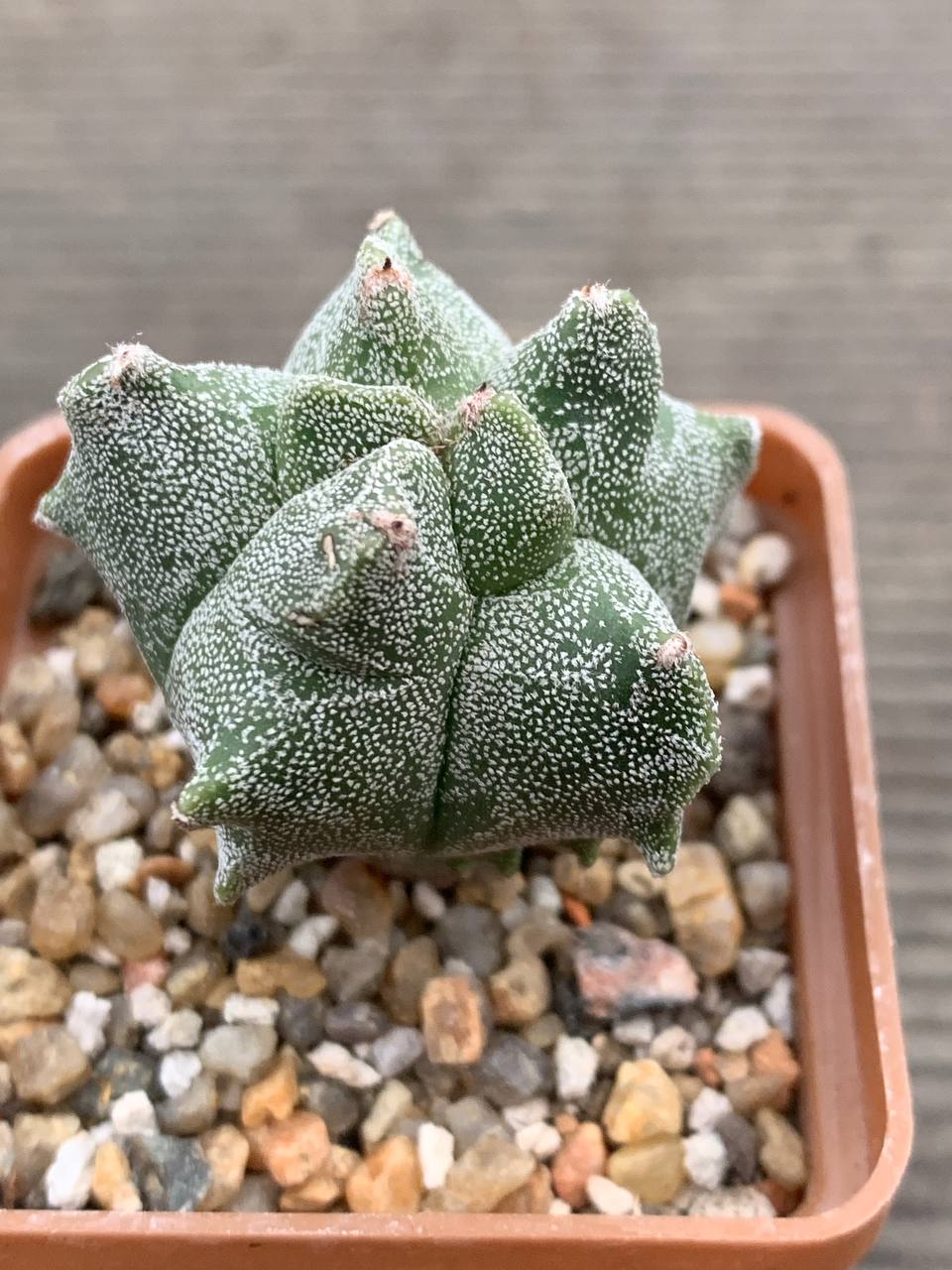 photo_28_2025-12-17_17-03-28 photo_28_2025-12-17_17-03-28