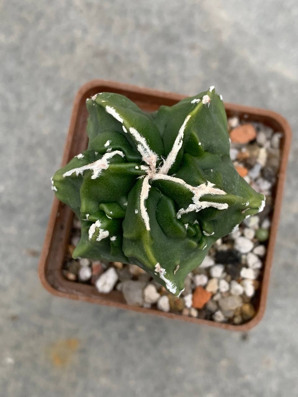 photo_35_2025-12-03_13-57-32 photo_35_2025-12-03_13-57-32