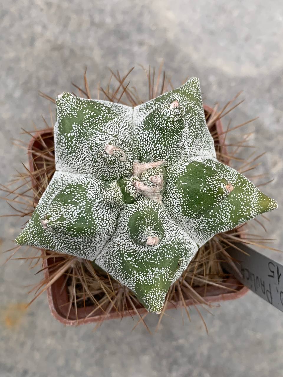 photo_40_2025-12-03_13-57-32