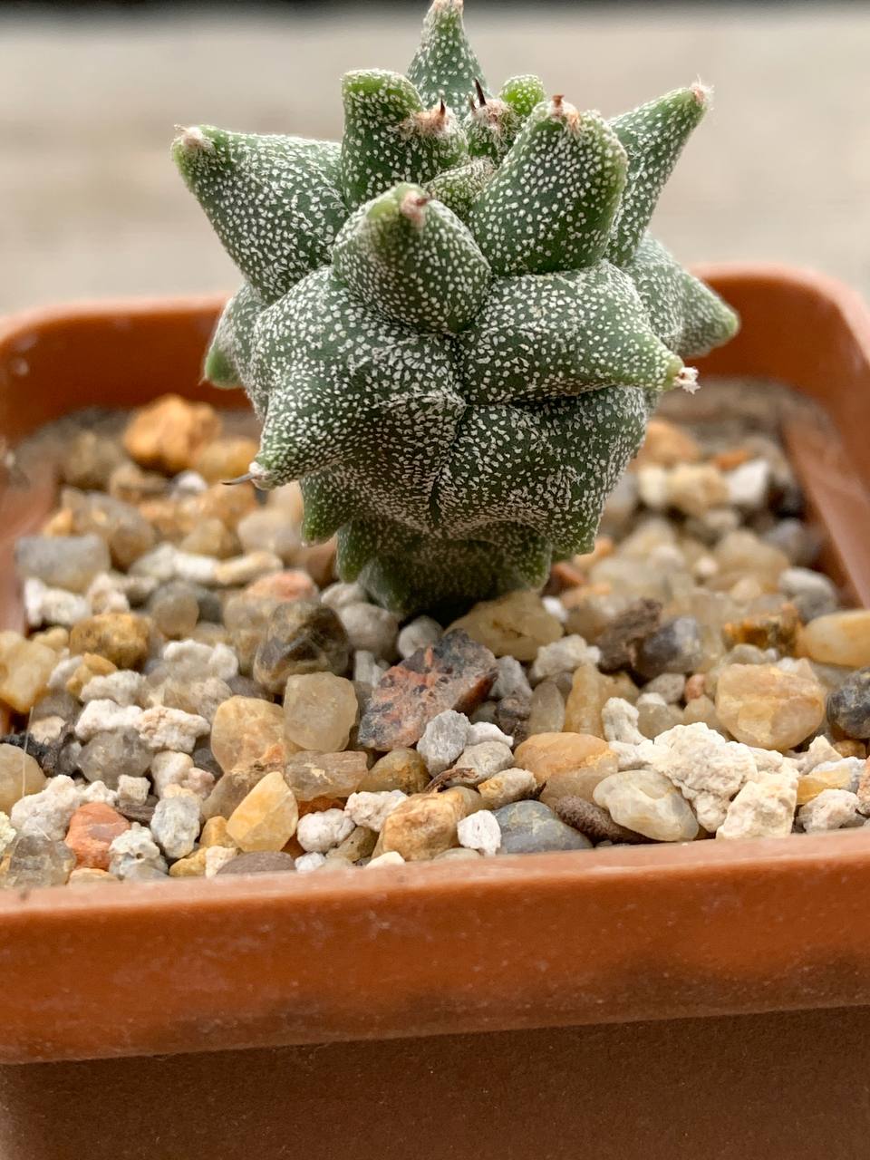 photo_51_2025-12-03_13-57-32