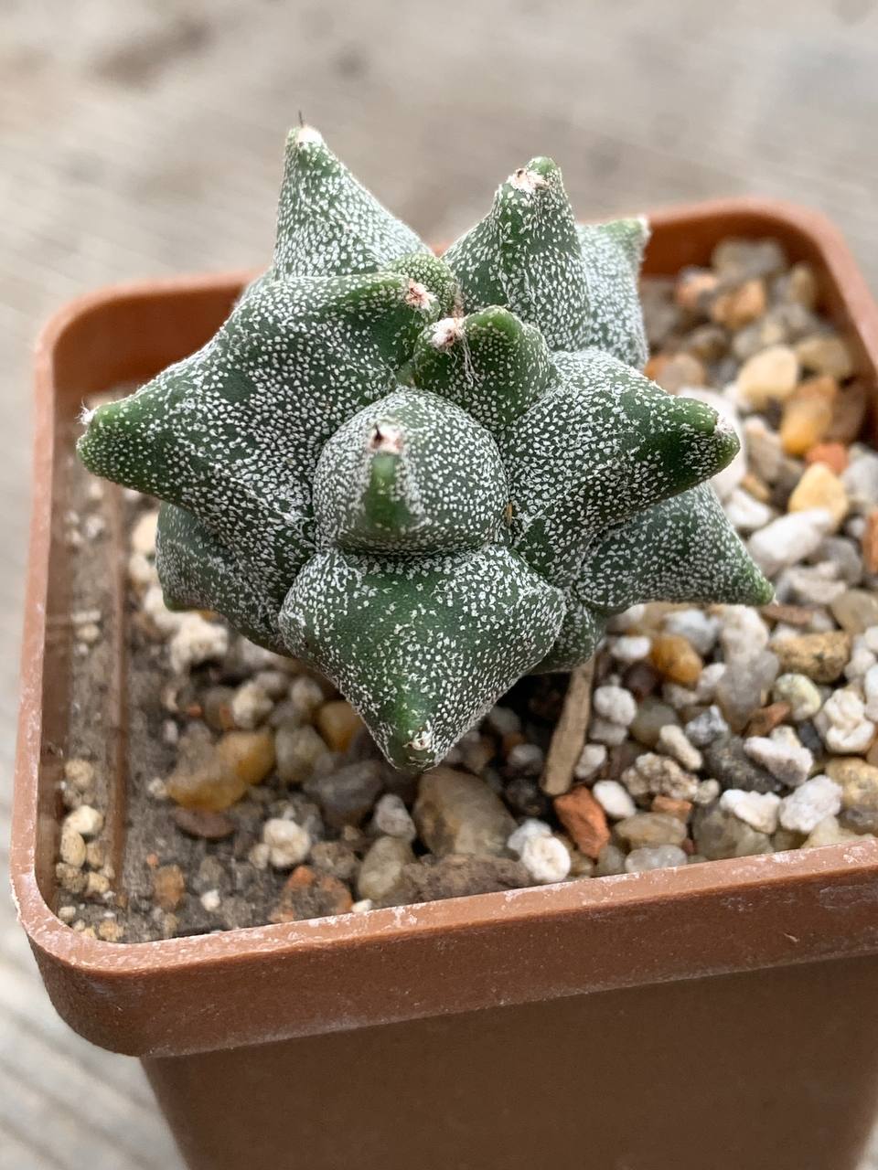 photo_54_2025-12-03_13-57-32