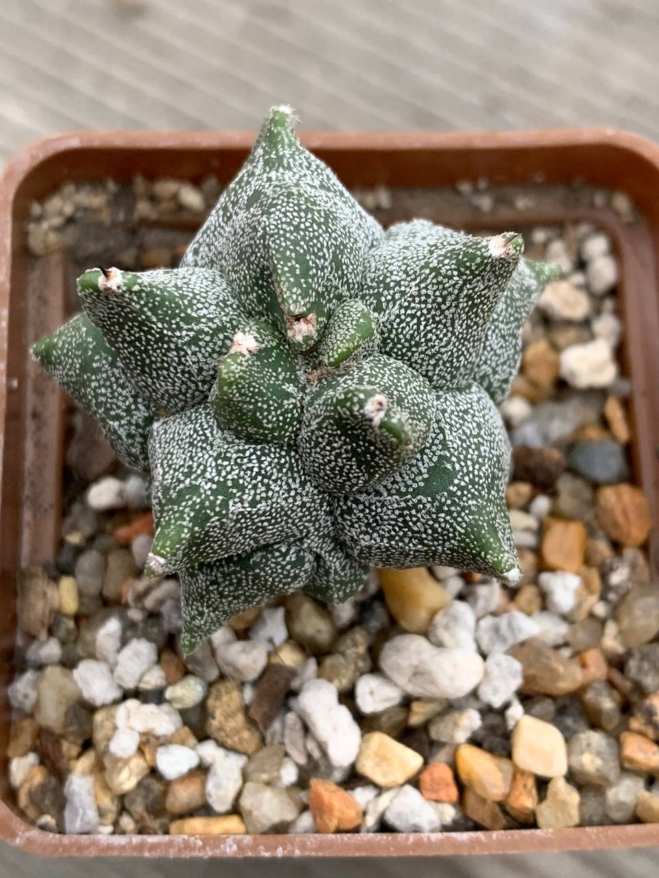 photo_56_2025-12-03_13-57-32