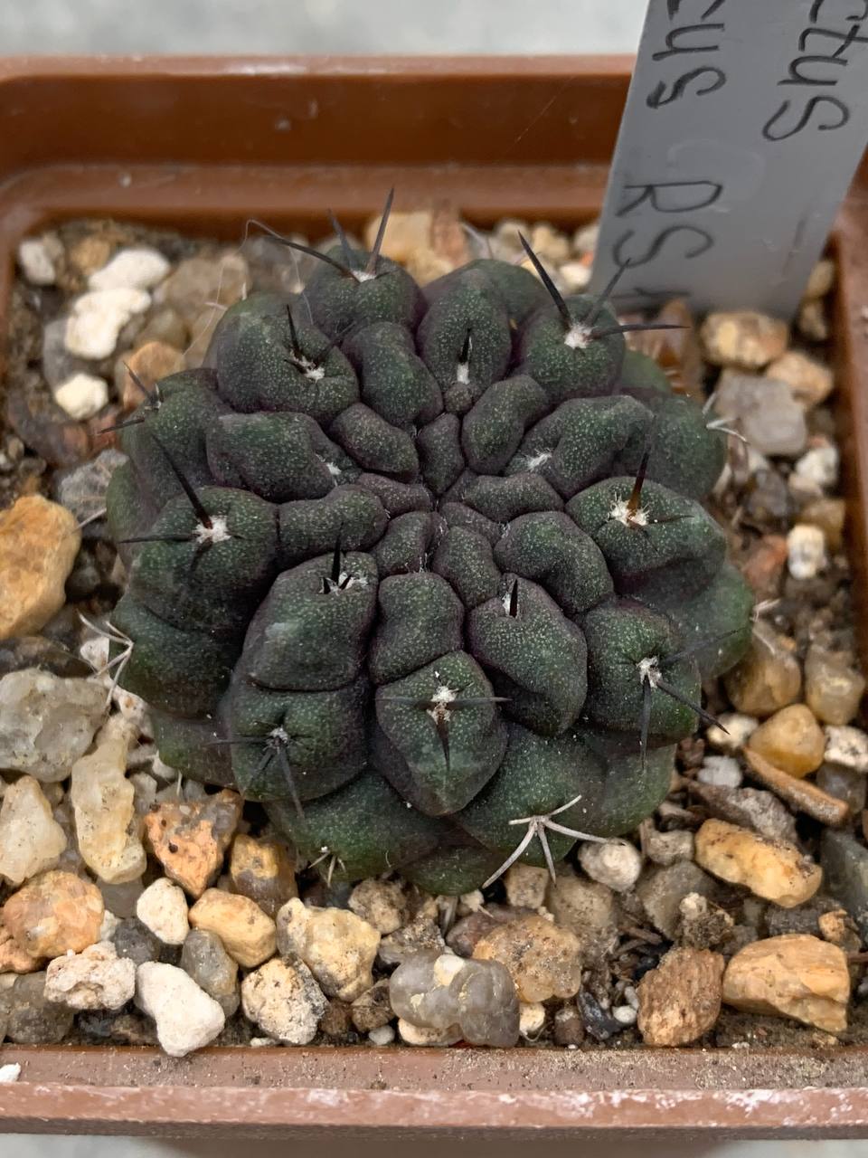 photo_5_2025-12-03_13-57-32 photo_5_2025-12-03_13-57-32